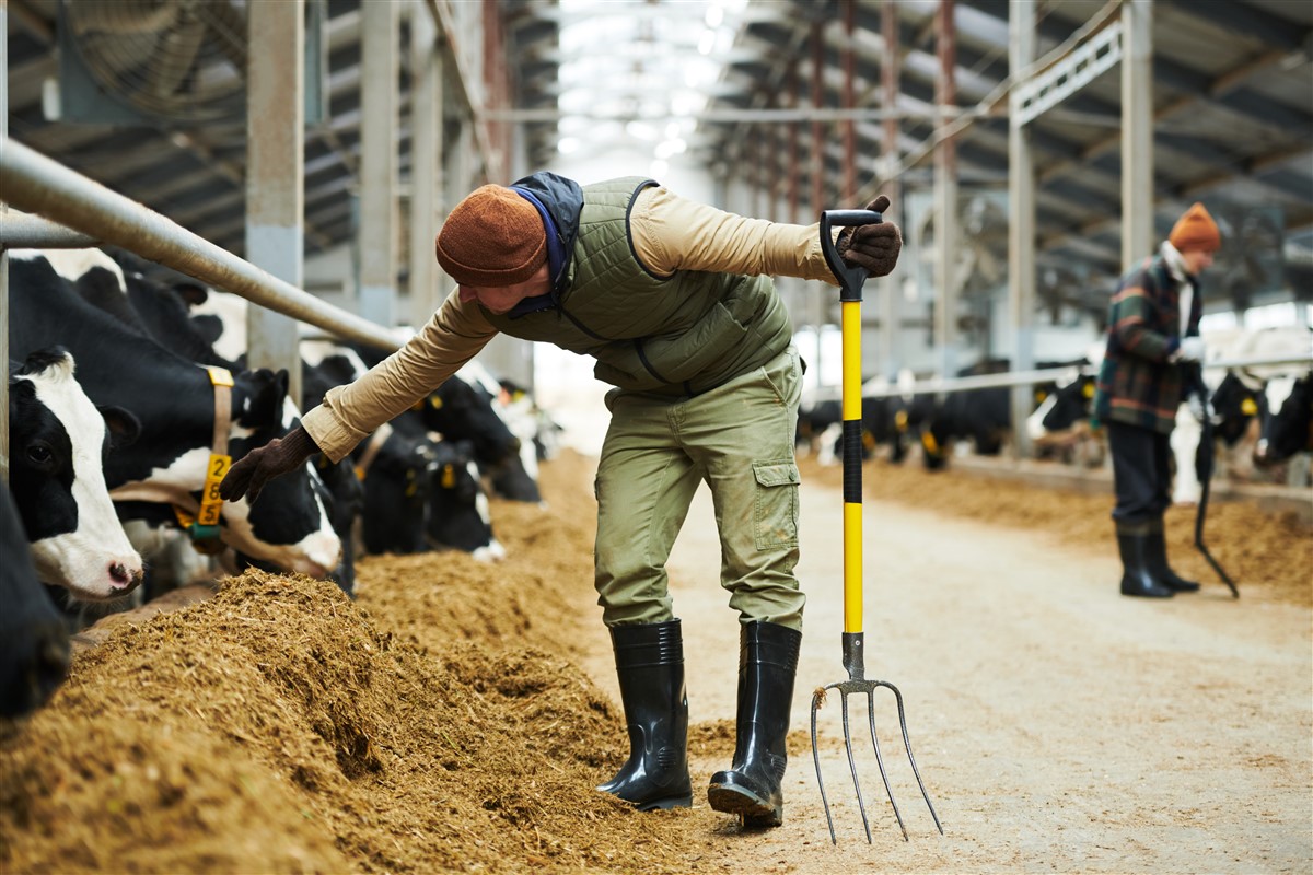 Baisse du nombre d'agriculteurs