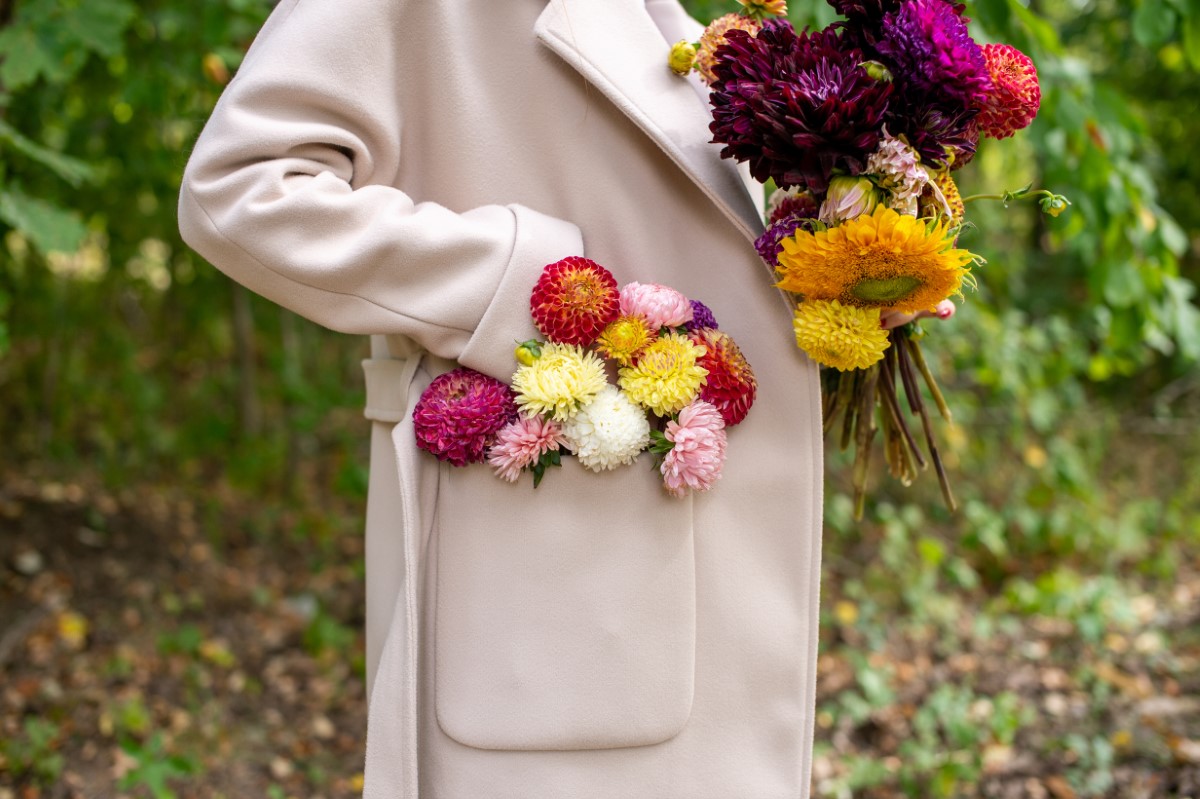 Les variétés de fleurs semées en juin pour un jardin coloré jusqu'à l'automne
