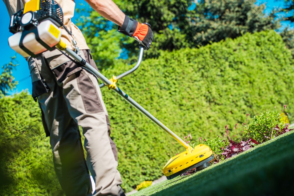 Choisir le coupe-bordure optimal pour votre jardin de ville