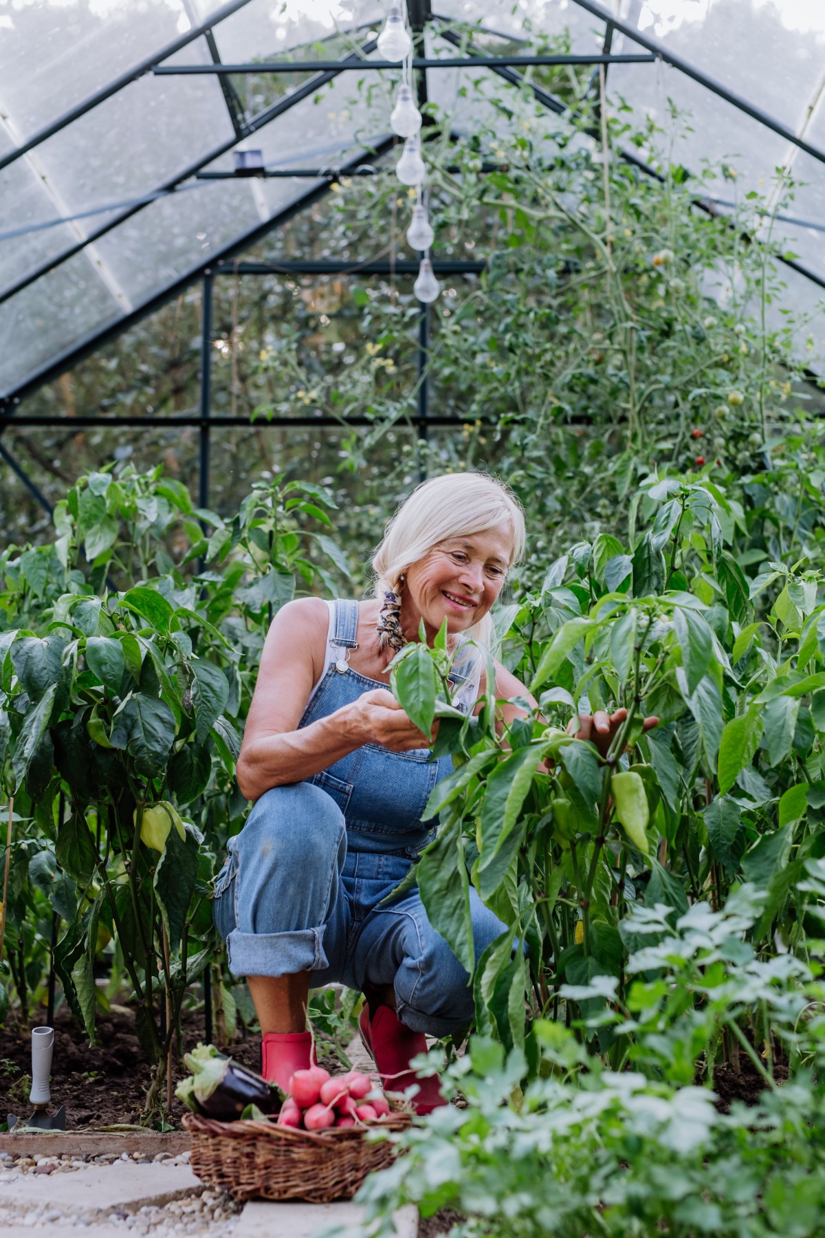 Cultivez des légumes hors saison grâce à la serre walipini