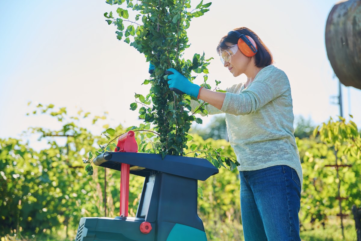 Optimisation de l'espace : le denqbar 5 1 kW dans les petits jardins