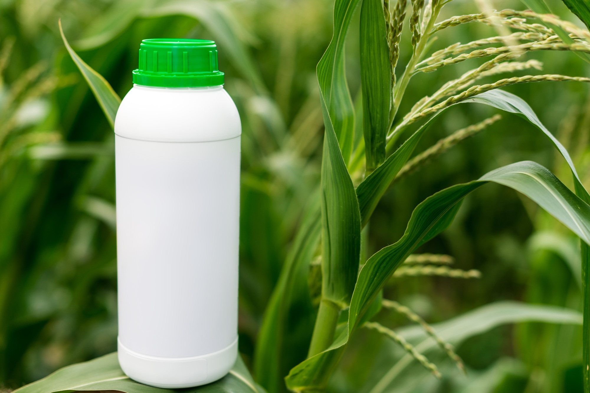 Closeup blank unlabelled bottle as mockup copy space for herbicide, fungicide or insecticide.